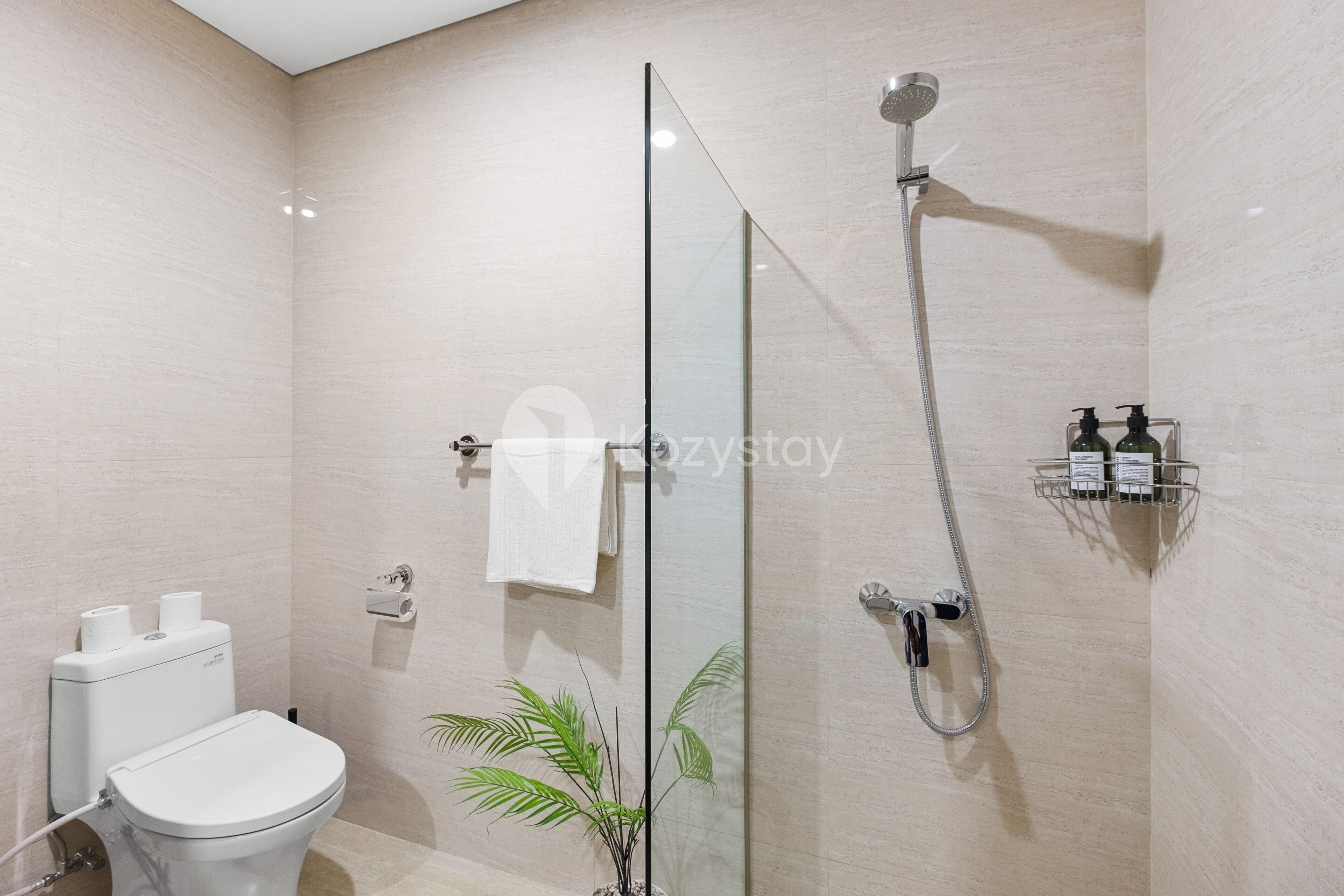 A modern bathroom with a glass shower enclosure, a toilet, and a small potted plant.