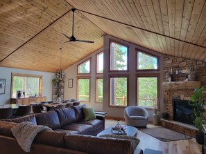 智能电视、壁炉、DVD 播放器、书