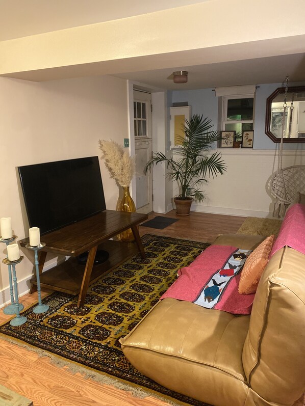 TV, books, computer monitors