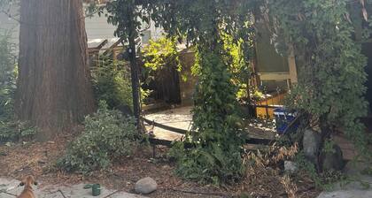 Nature oasis close to the heart of the city