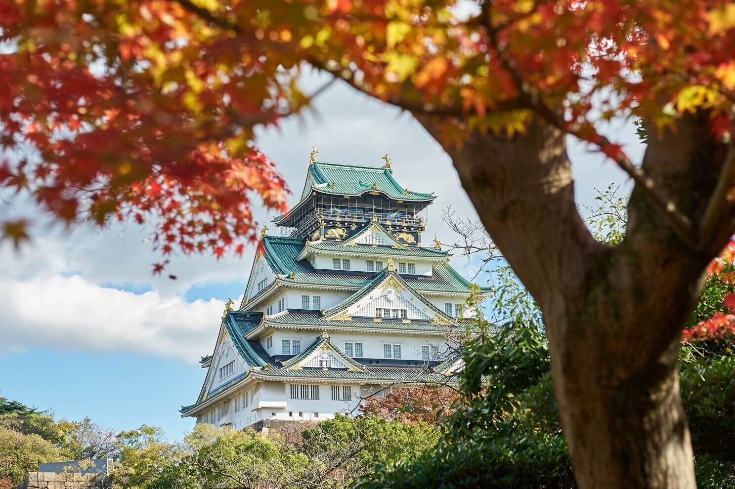 A traditional Japanese castle with multiple tiers and a green roof, surrounded by autumn foliage.