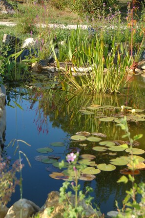 Property grounds - Gite chateau Ysard (Camblanes-et-Meynac)