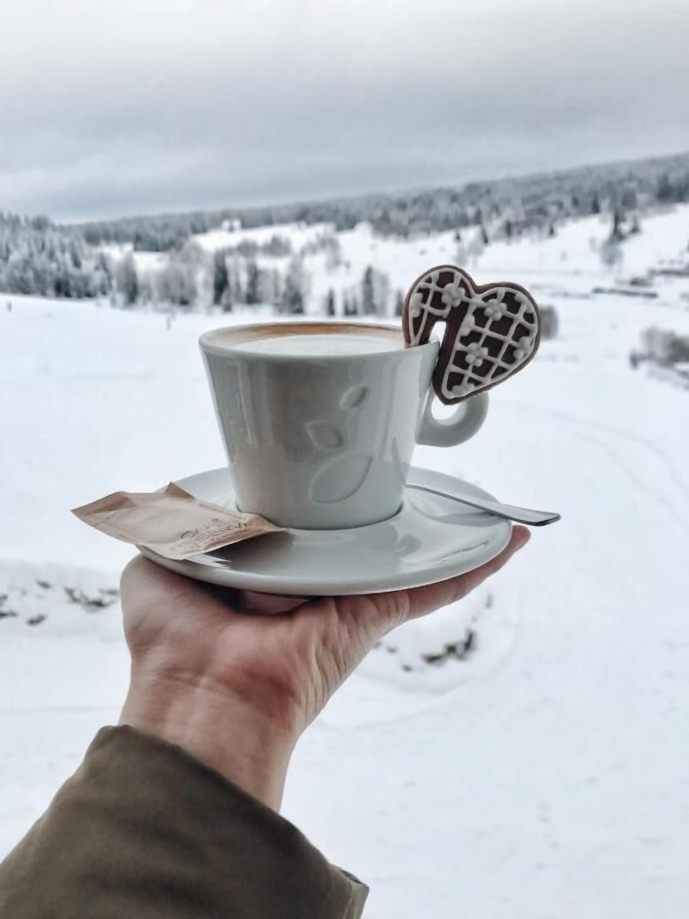 A hand holding a white cup with a heart-shaped cookie holder, a saucer, and a tea bag, set against a snowy landscape with trees and hills in the background.