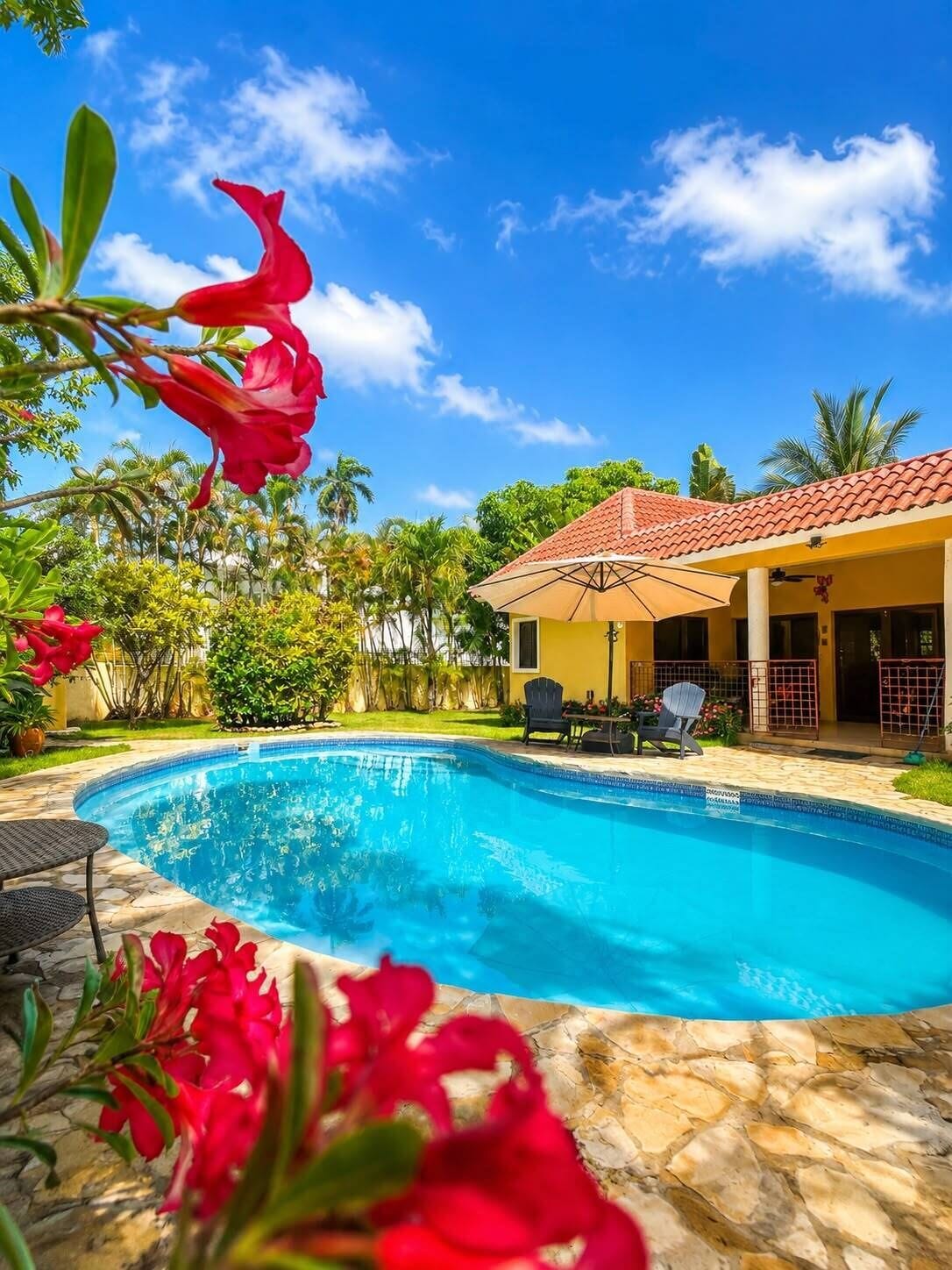 A swimming pool with a tiled deck, surrounded by tropical plants and a covered patio area with outdoor furniture.