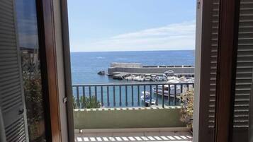 Vista desde la propiedad