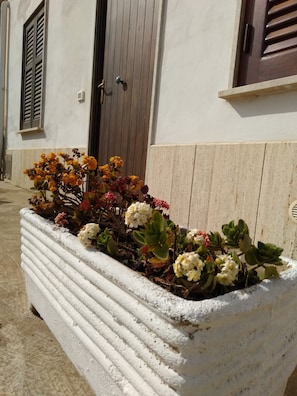 House, 2 Bedrooms | Property entrance
