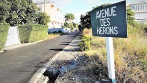 Bordje met de tekst 'Avenue des Herons' langs een weg, met een weg, groen en gebouwen op de achtergrond.