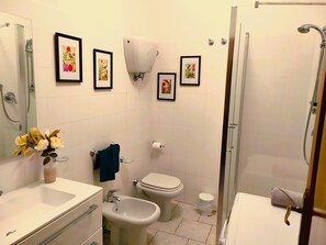 House, 2 Bedrooms, Fireplace, City View | Bathroom