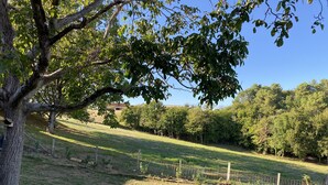 Paesaggio rurale con un'area recintata, alberi e cielo sereno.