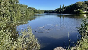 A calm lake surrounded by dense greenery and trees. - Charming house in the forest of Troncais (Saint-Bonnet-Tronçais)