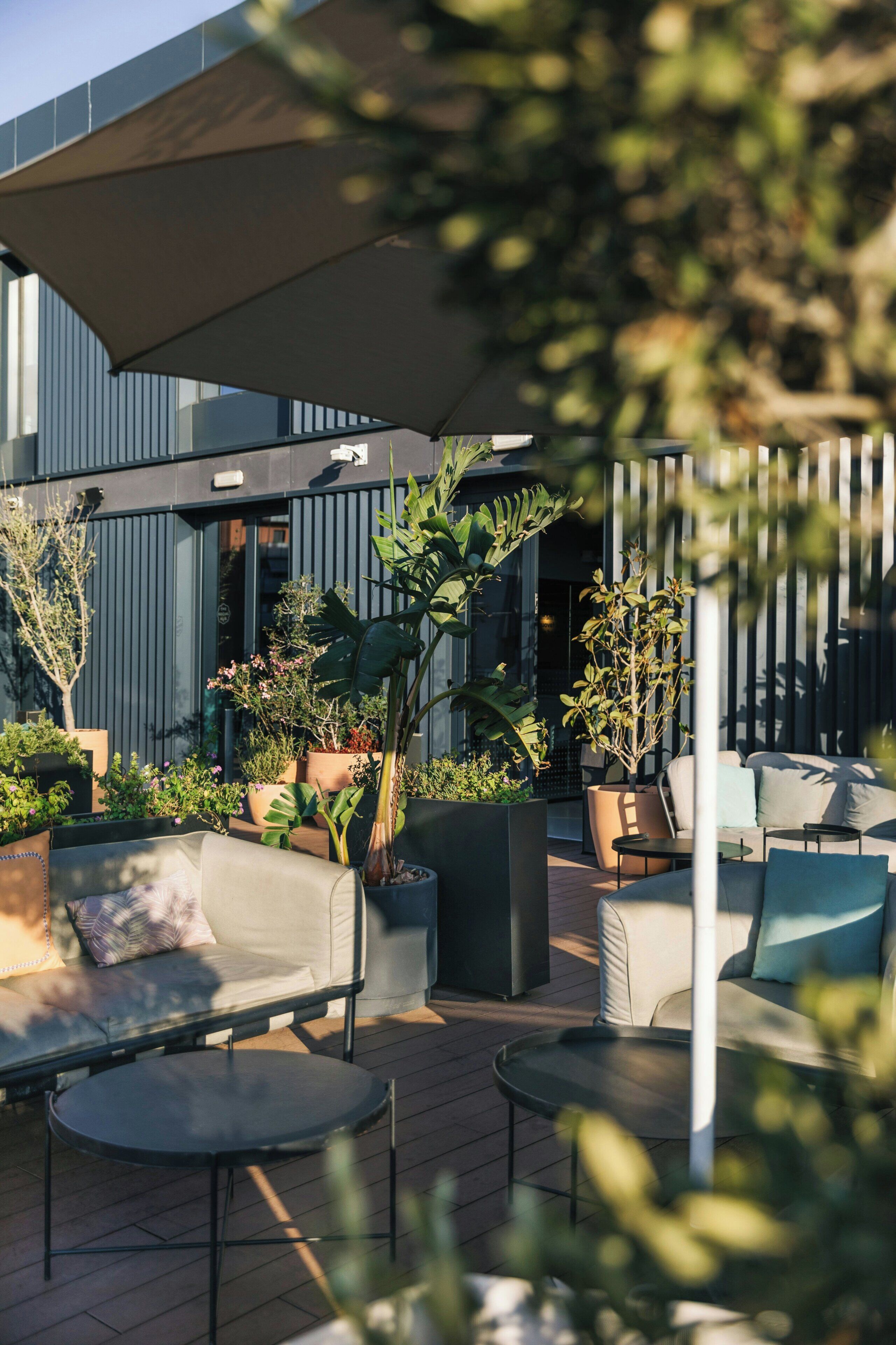 Un patio al aire libre con arreglos de asientos, macetas con diversas plantas y un edificio moderno al fondo.