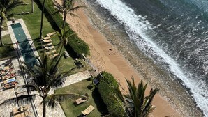 Ein Strand mit Palmen, ein Poolbereich und Blick aufs Meer.