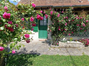 A stone-paved pathway leading to a building with a green door and a garden with blooming pink roses. - ''le Cocon'' (Tracy-sur-Loire)