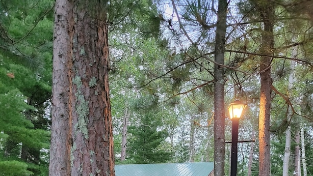 A cabin with a green roof, surrounded by large trees and a stone pathway. - Four season fun, classic LAKEFRONT cabin for families! (Bigfork)
