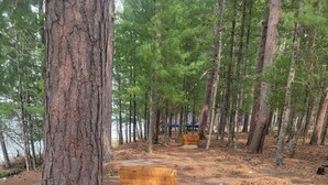 A picnic table and benches in a forested area with a dirt ground. - Four season fun, classic LAKEFRONT cabin for families! (Bigfork)