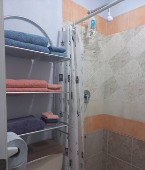 Shower, hair dryer, towels, soap - BLUE LOTUS COZUMEL pool A/C fibreoptics WI-FI TV walking distance to town (San Miguel de Cozumel)