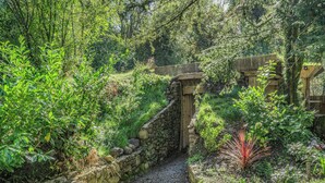 Un sentiero in pietra che si snoda attraverso un rigoglioso giardino, ricco di piante e con un cancello in legno.