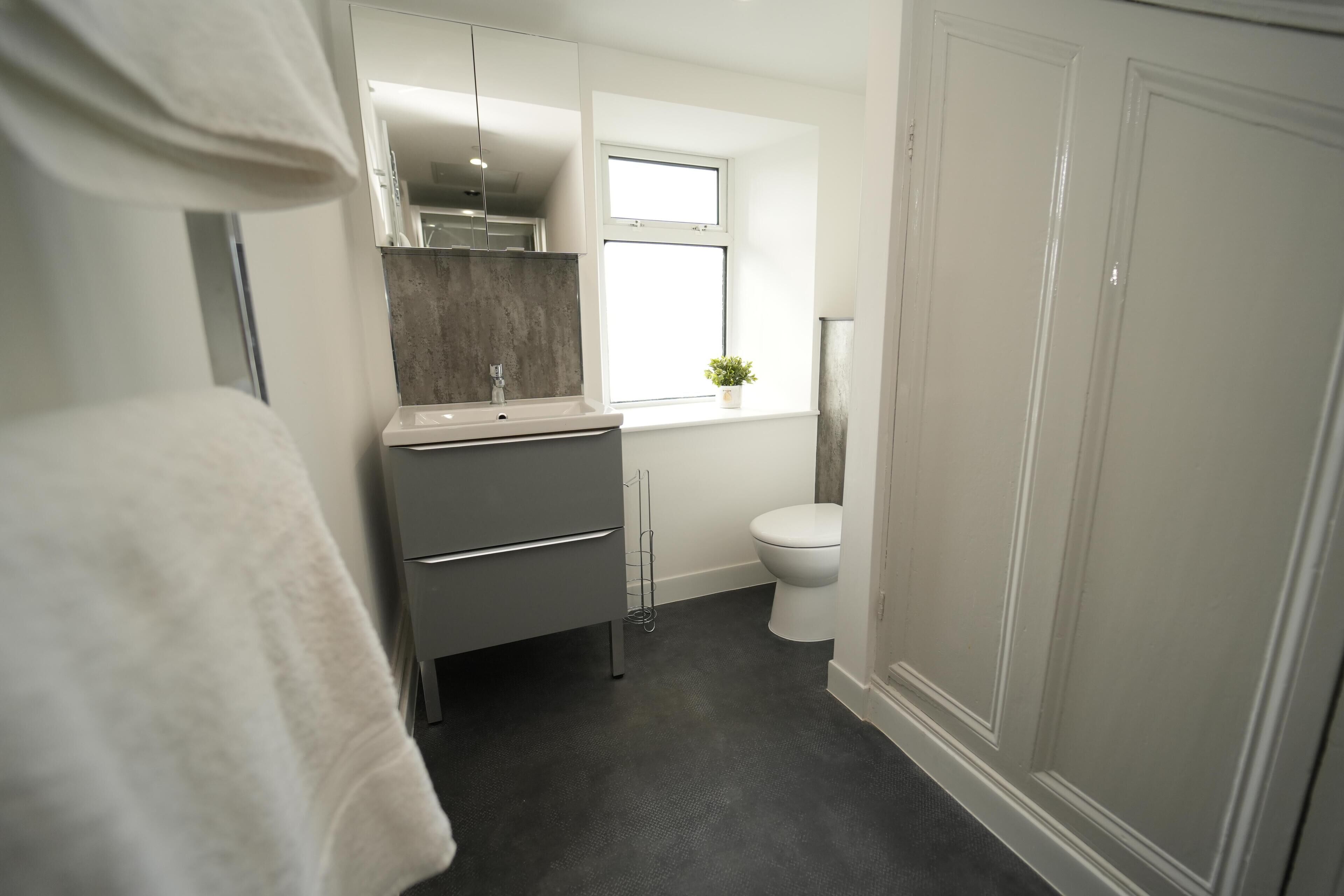 Une salle de bain moderne avec un lavabo gris, des toilettes blanches et une fenêtre agrémentée d’une plante.