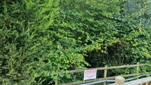 A wooden fence with a warning sign. - Glamping Hut - Sleeps 2, hot tub & Parking (Welshpool)