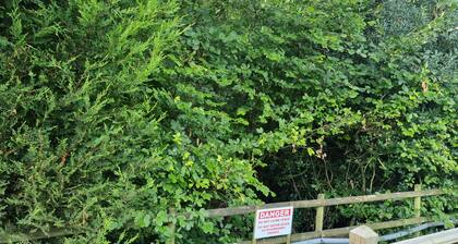 Glamping Hut - Sleeps 2, hot tub & Parking