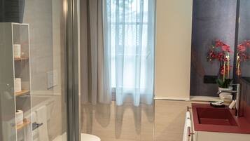 Ducha, secador de pelo, bidé y jabón