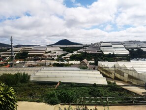 Exterior - Mountaint view (Thành phố Đà Lạt)