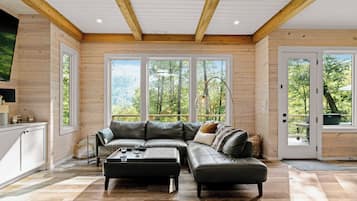 Smart TV, chimenea, libros y oficina