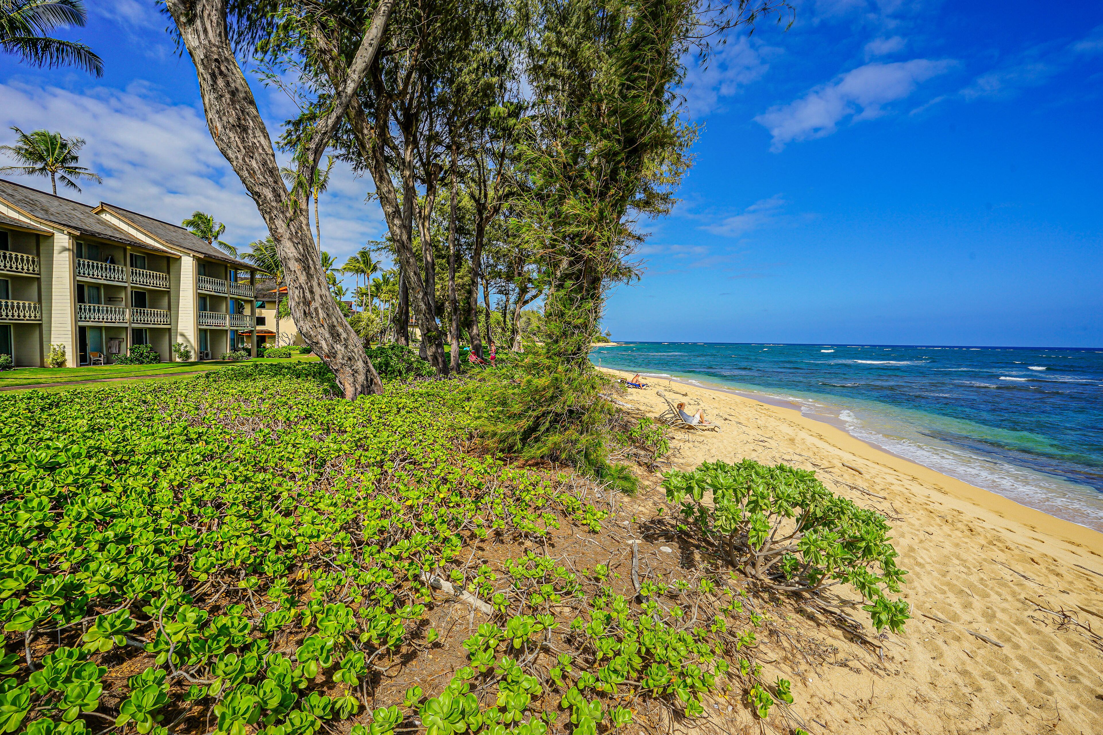 On the beach, beach towels