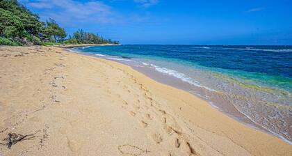 Ground-floor beach studio - ocean-view lanai, AC, steps to pool & hot tub