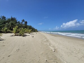Plage à proximité, chaise longue, serviettes de plage