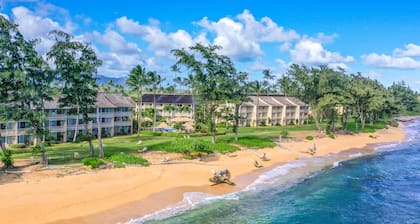 Resort beach condo - ocean-view lanai, fast WiFi - steps to pool & hot tub