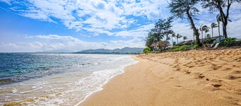 Resort beach condo - ocean-view lanai, fast WiFi - steps to pool & hot tub