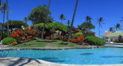 Ocean-view resort condo - ground floor - amazing pools, gym, spas, & restaurants