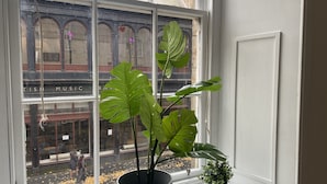 A window with a potted monstera plant and a small succulent on a windowsill. - Lovely 1-bed Apartment in Glasgow Merchant City (Glasgow)