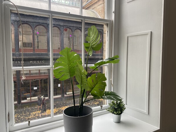 A window with a potted monstera plant and a small succulent on a windowsill.