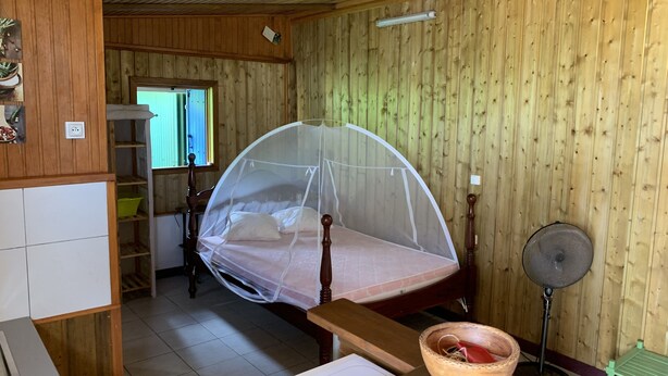 A room with a wooden ceiling, a bed with a mosquito net, a wooden table with a bowl, a green fan, and a window with a view of the outside. - Studio 40 m2 (les trois ilets, le marin)