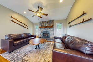 TV, fireplace, books
