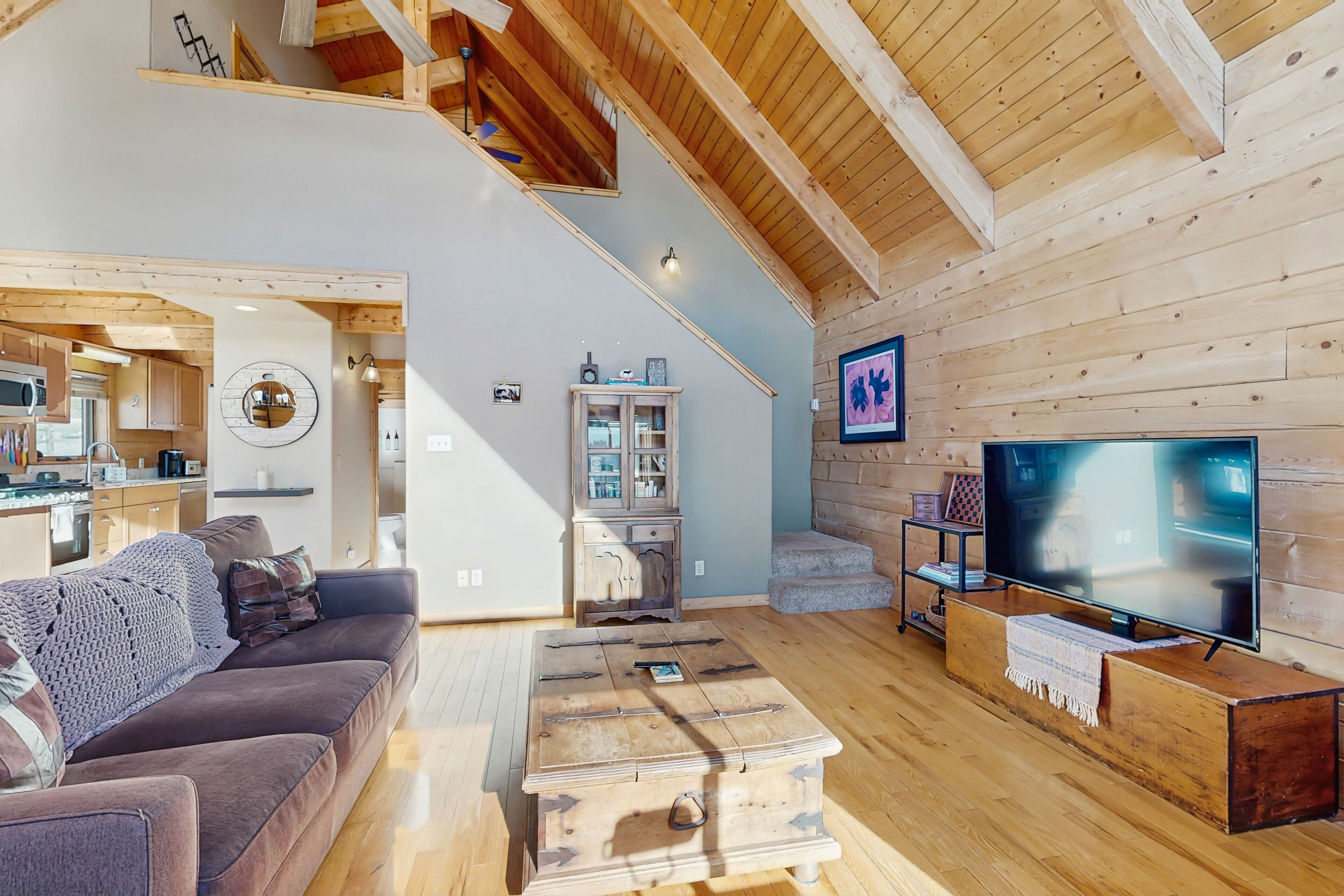 Télévision, cheminée, livres