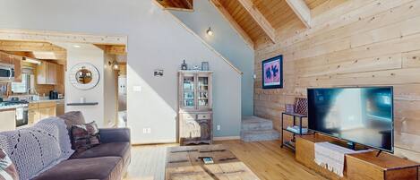 Télévision, cheminée, livres