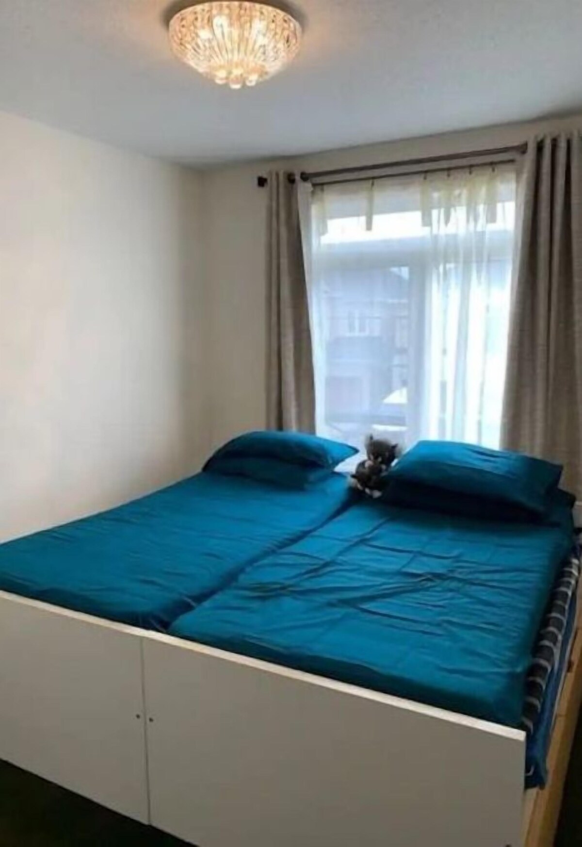 オーナーのプロフィール画像