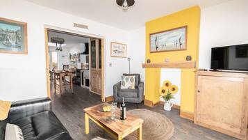 TV, fireplace, books, music library