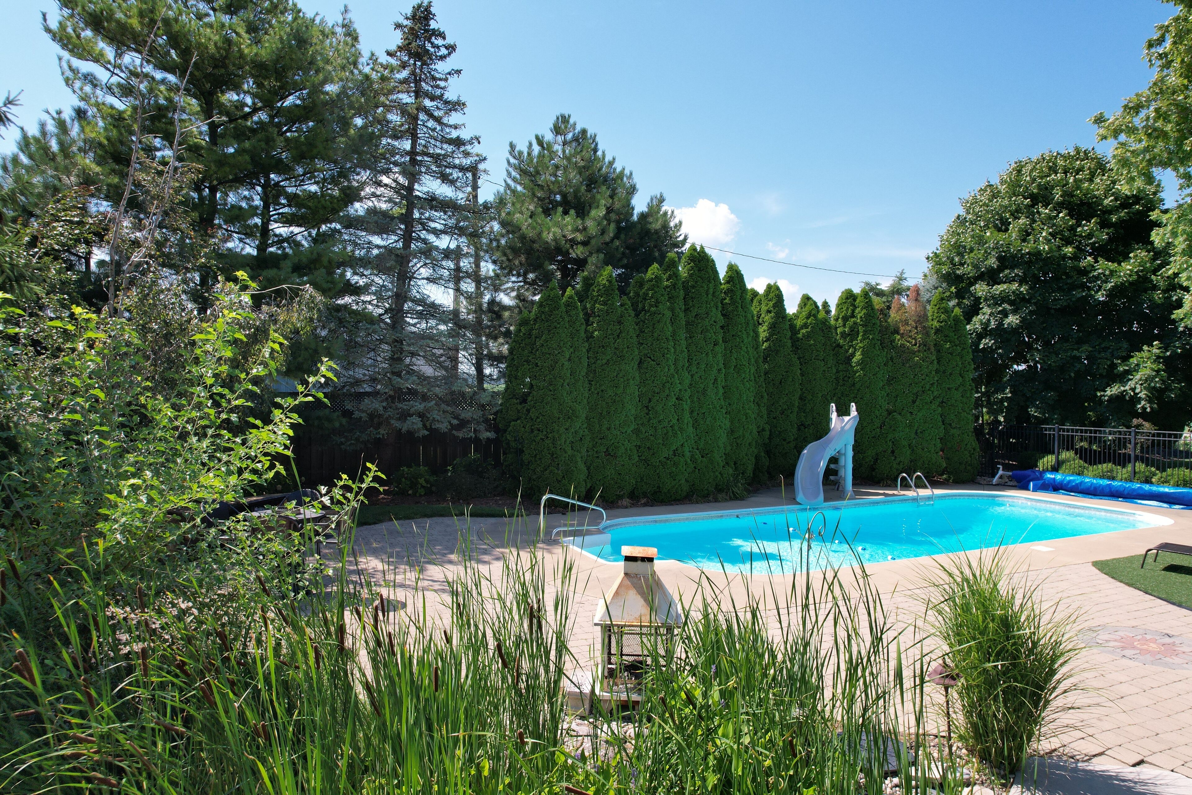 Una piscina rodeada de árboles altos y un césped cuidado.