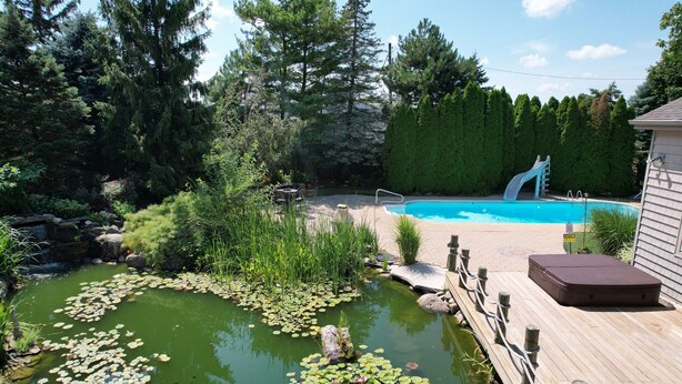 Un giardino sul retro con una piscina, un piccolo stagno con ninfee, un pontile in legno e uno scivolo.