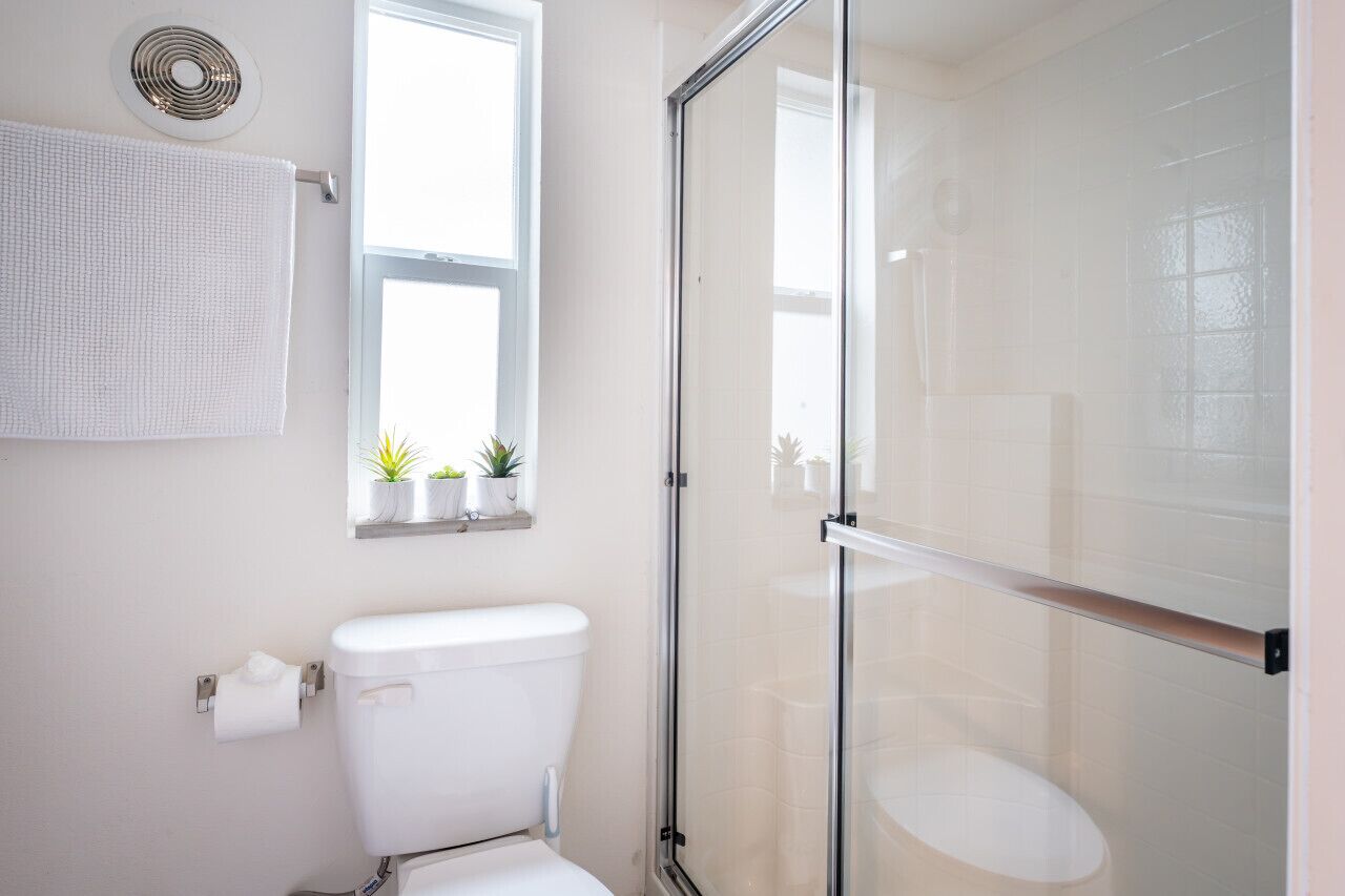 Een moderne badkamer met een douchecabine van glas, een toilet, een handdoekhouder en een raam met potplanten.