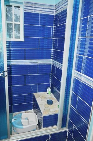 Combined shower/bathtub, jetted bath, hair dryer, towels