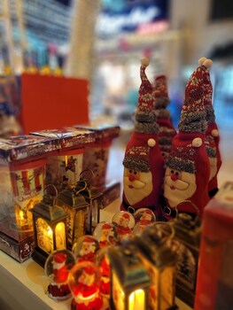 Maya Guest House-GermanColony&BahaiGardn