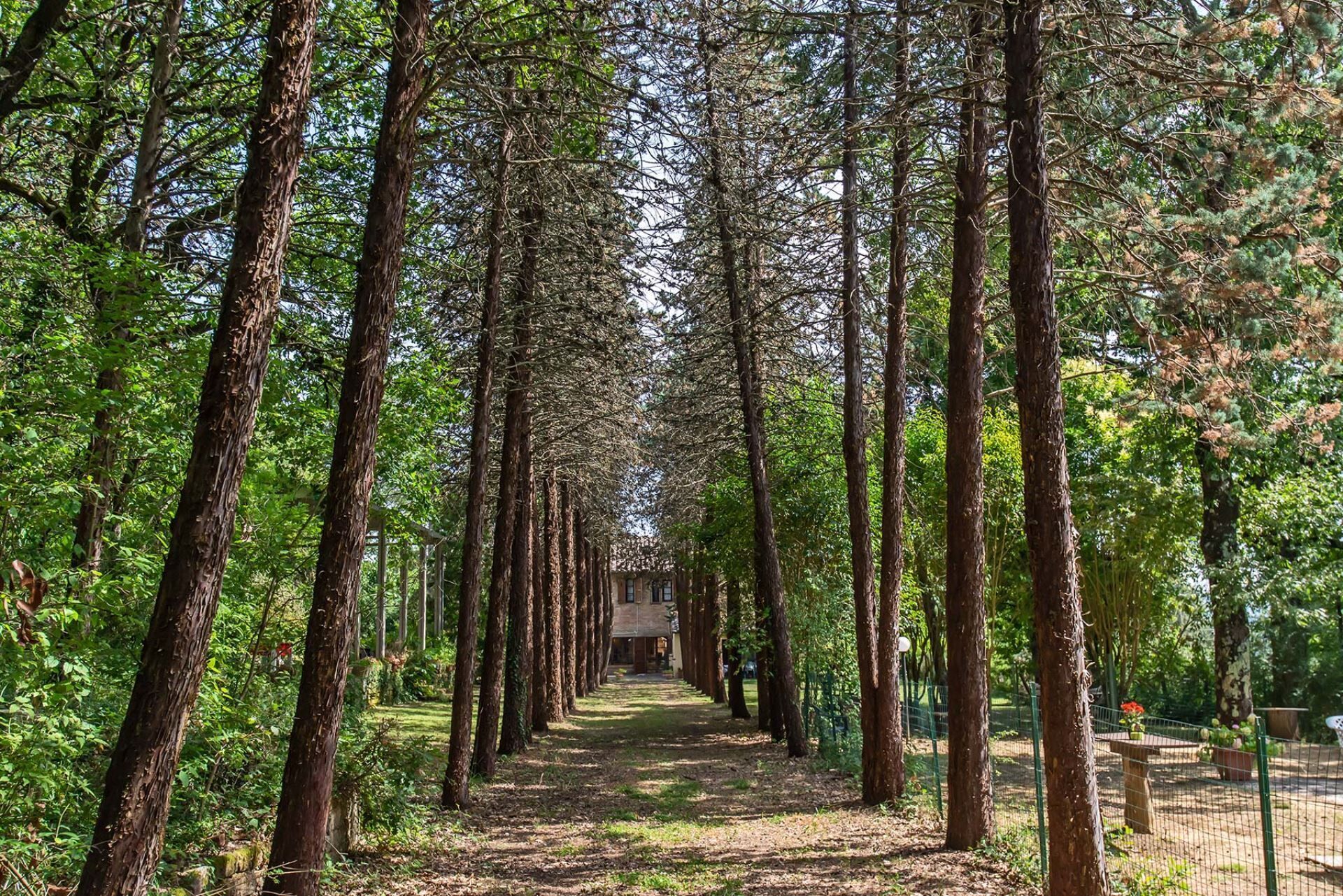 المنطقة المحيطة بالمنشأة