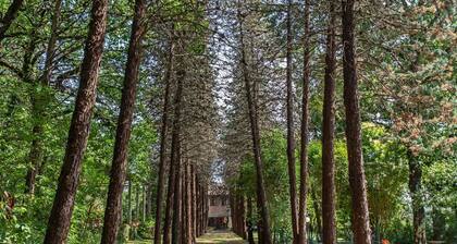 Villa in farmhouse with private pool and outdoor spa tub