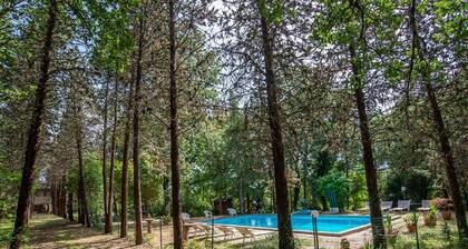 Villa in farmhouse with private pool and outdoor spa tub