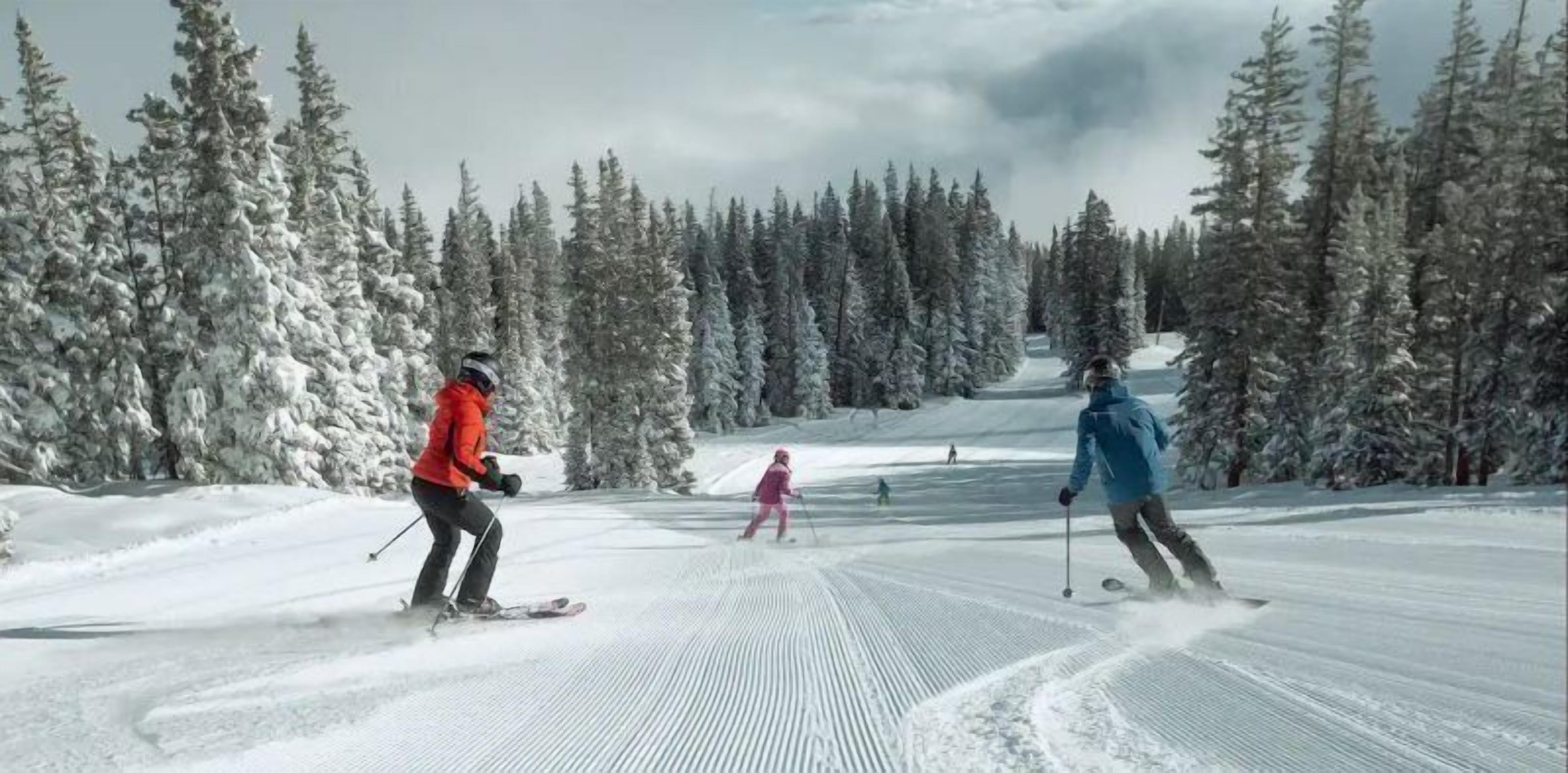 A ski slope with skiers.